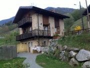 Urlaub mit dem Hund am Ledrosee