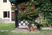 Casa Nina in Mezzolago am Ledrosee